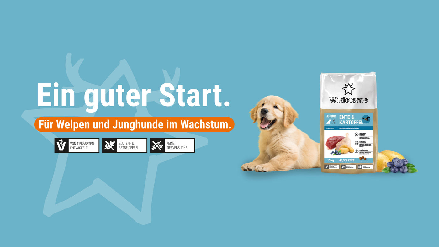 Wildsterne | Das Premiumfutter mit Tierarzt-Know-How