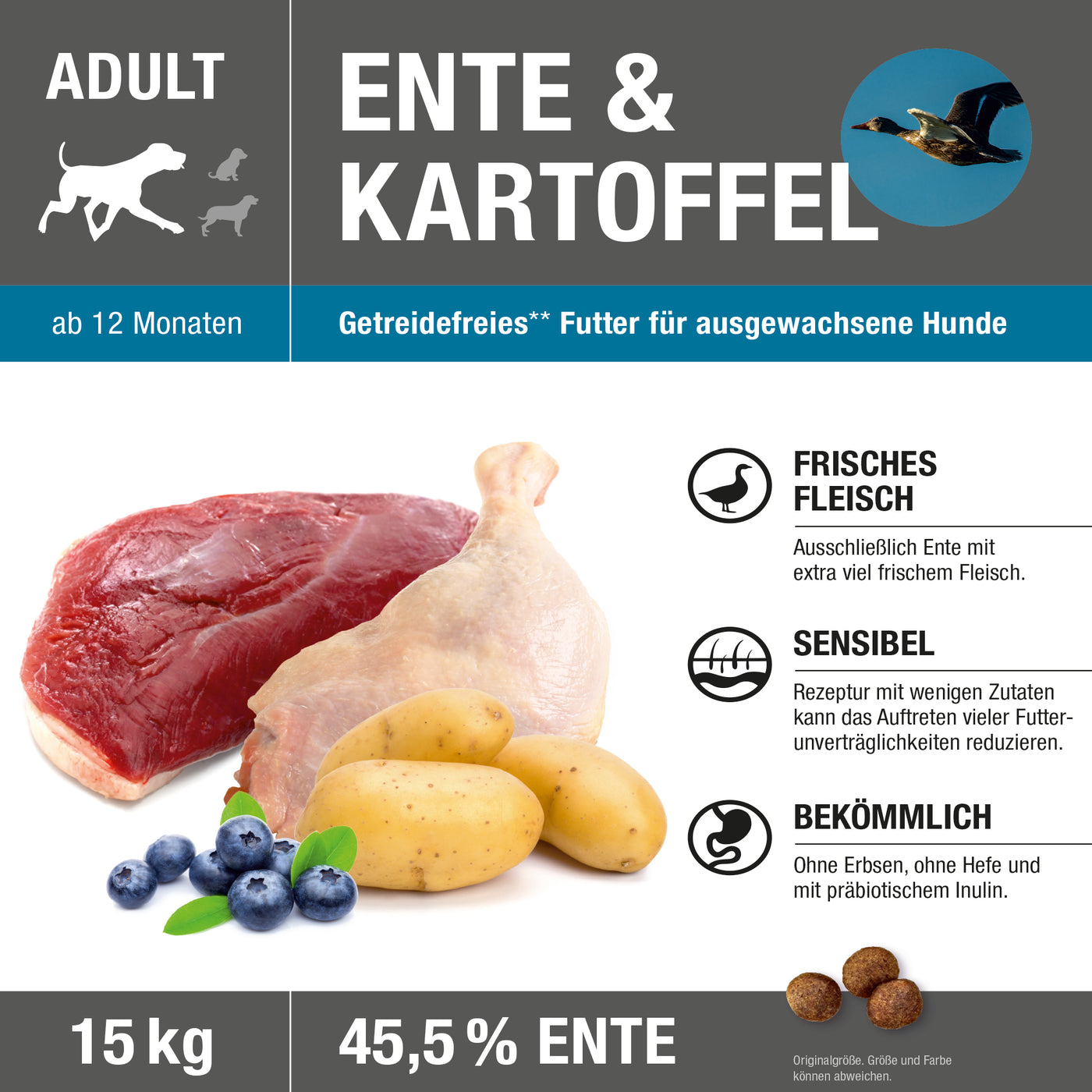 Etikett der Vorderseite von Wildsterne Ente & Kartoffel - hypoallergenes Monoprotein Hundefutter ohne Getreide für empfindliche Hunde und bei Futterallergie.