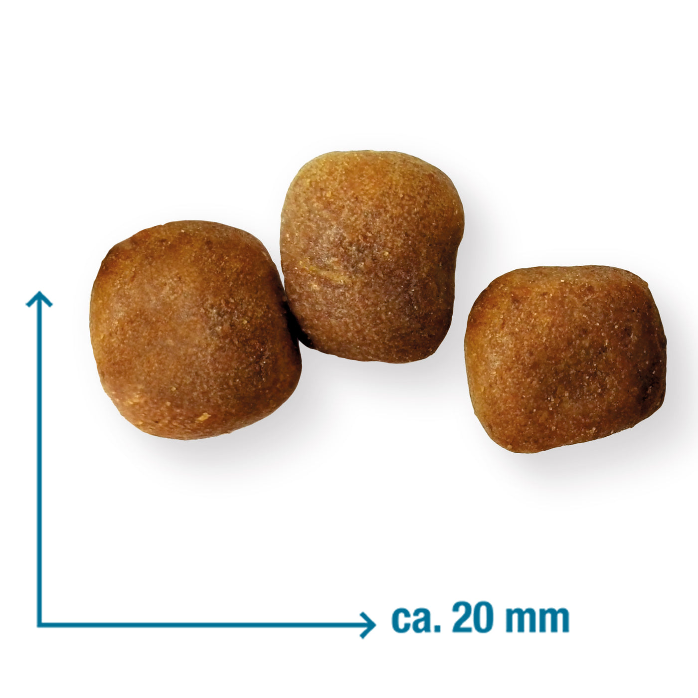 Monoprotein Hundefutter ohne Getreide für Welpen aus Ente und Kartoffel von Wildsterne Krokettenform