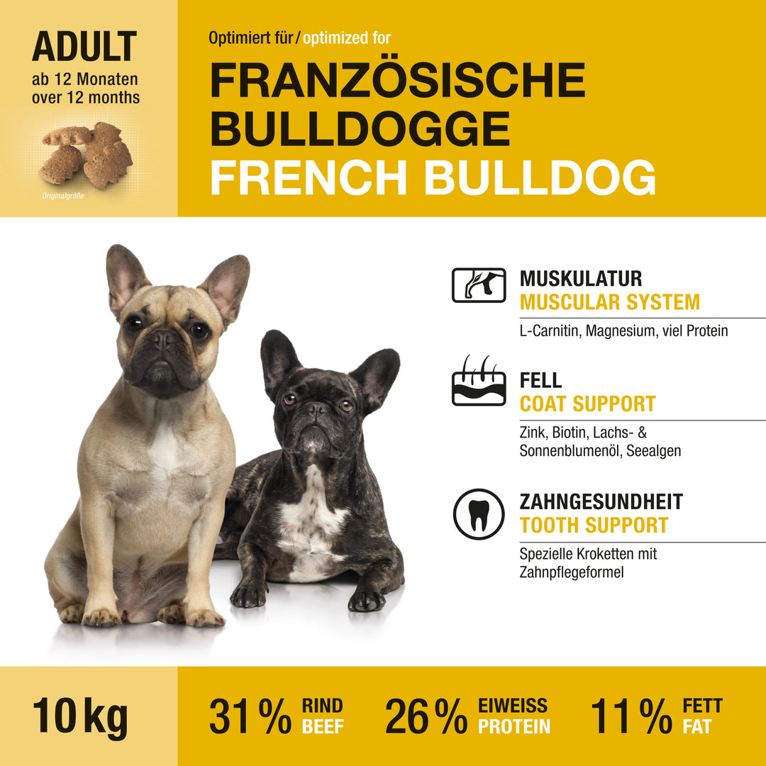 Wildsterne Breed Selection French Bulldog