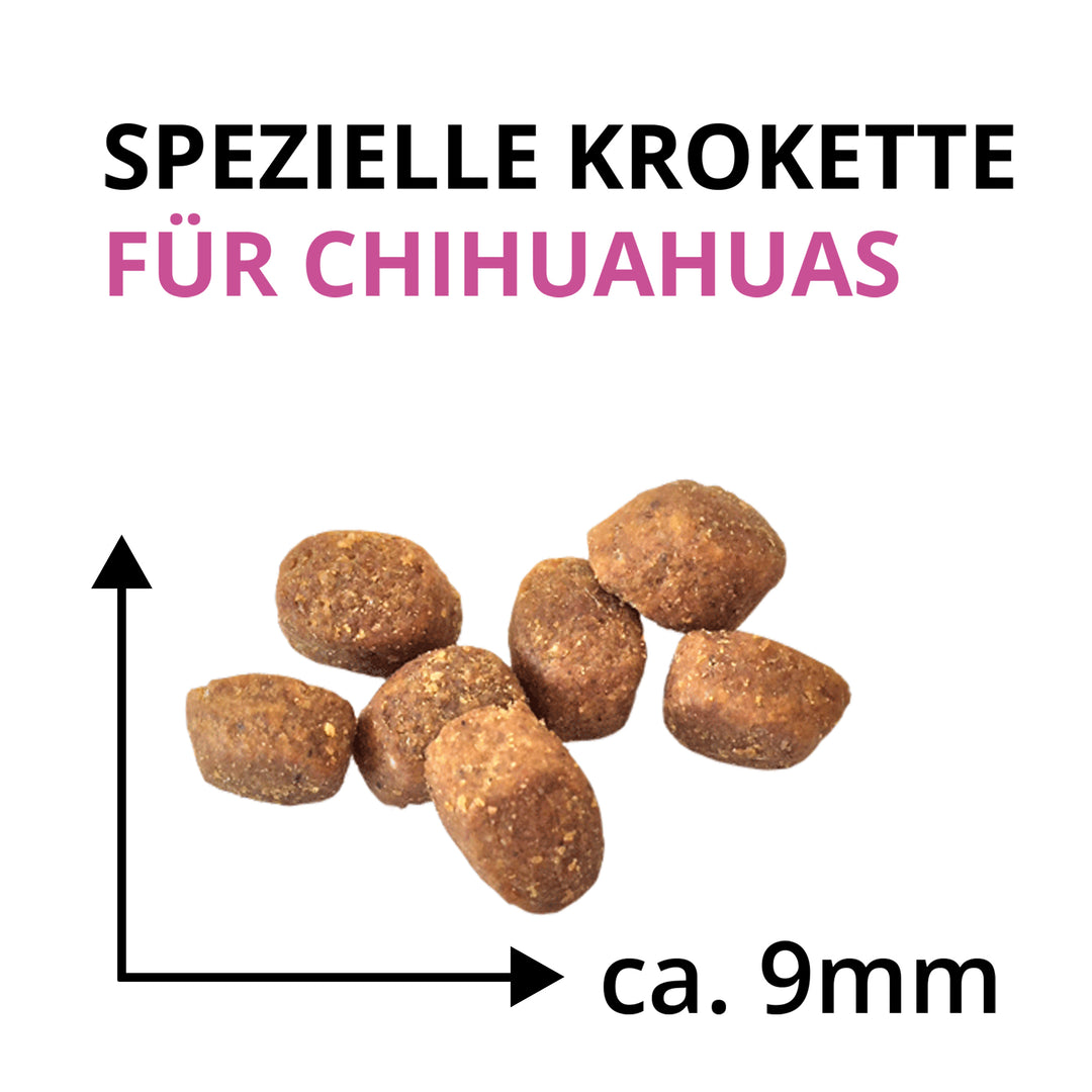 Wildsterne Breed Selection Chihuahua – Hundefutter ohne Getreide