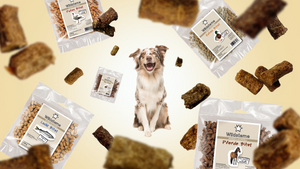 Hier gibt es gesunde Hundeleckerli für Hunde. Ein begeisterter Hund schnappt nach fliegenden Hundeleckerli ohne Getreide aus Monoprotein