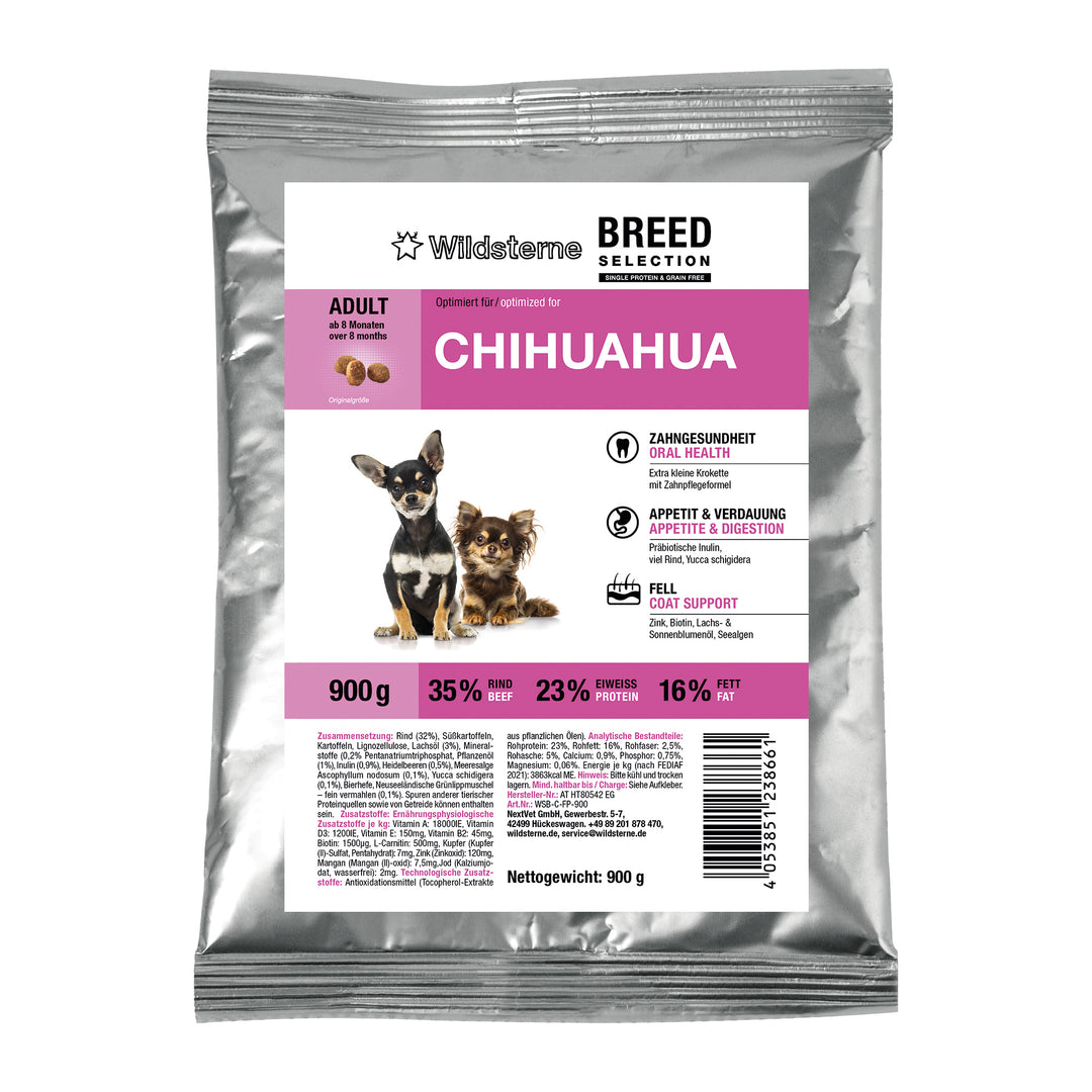 Breed Selection Chihuahua