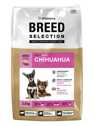 Breed Selection Chihuahua