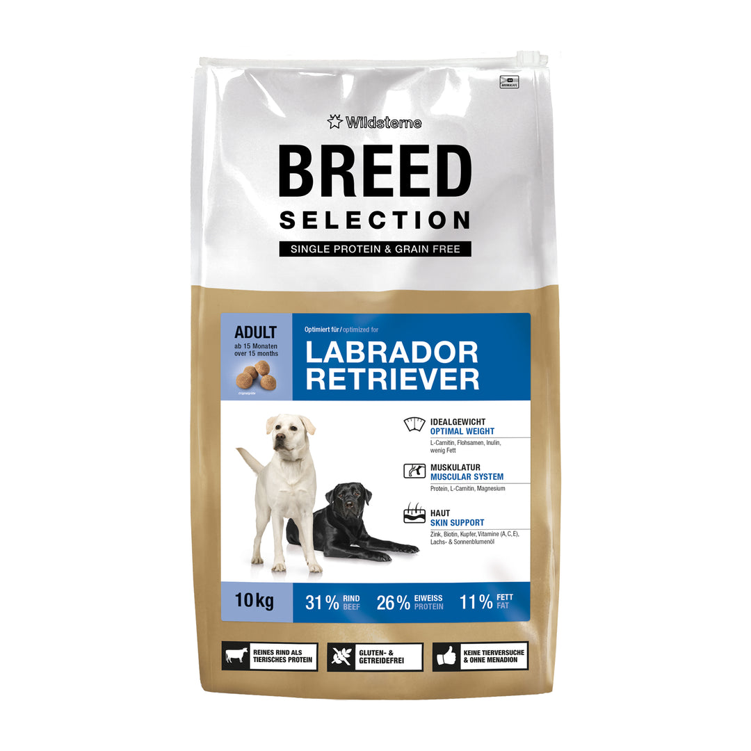 Breed Selection Labrador Retriever